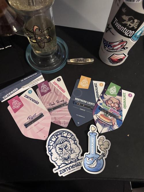 Northern Lights by Zamnesia. Week 0