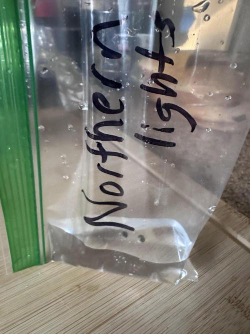 Northern Lights by Zamnesia. Week 0