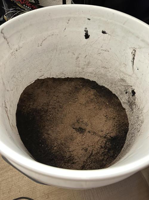 The Spice Twenty20 Mars-GD. Week 13