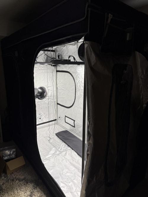 4’x8’ AI Control Tent: 5 Strains. Week 1 - Peek inside