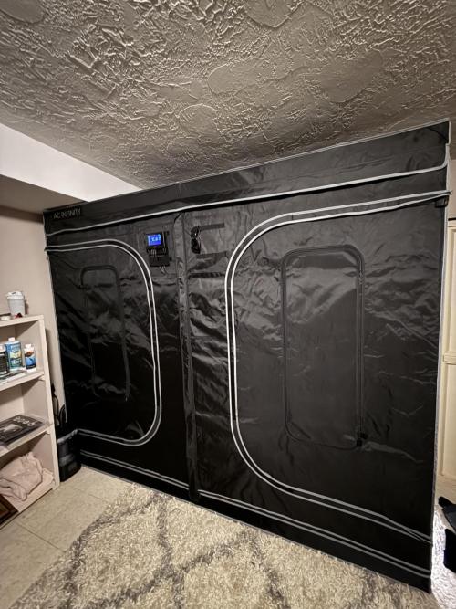 4’x8’ AI Control Tent: 5 Strains. Week 1 - Final setup!
