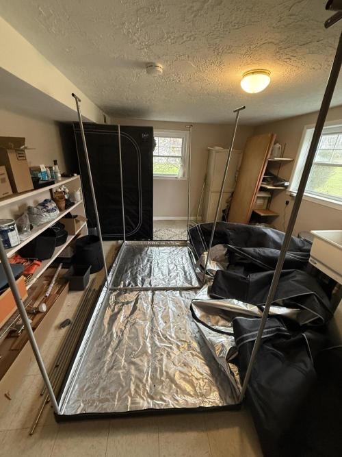 4’x8’ AI Control Tent: 5 Strains. Week 1 - Transition to the new tent to support vegetables on the sides as well!