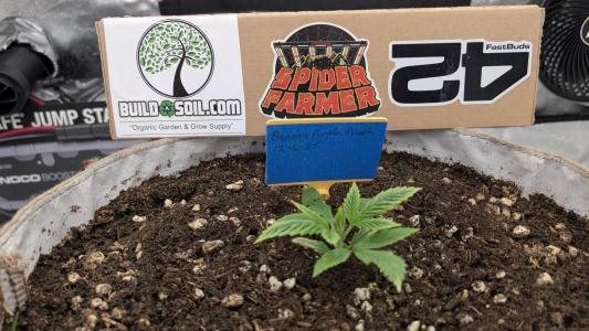 Comment by OhioPhantom photo #1