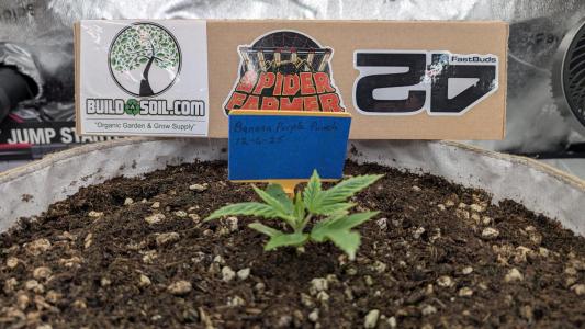 Comment by OhioPhantom photo #2