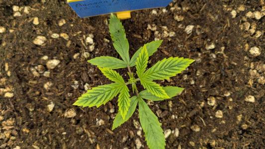 Comment by OhioPhantom photo #3