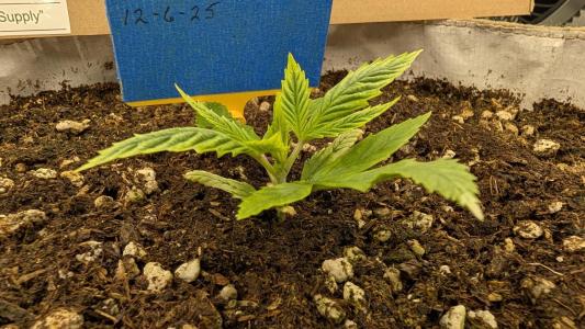 Comment by OhioPhantom photo #4