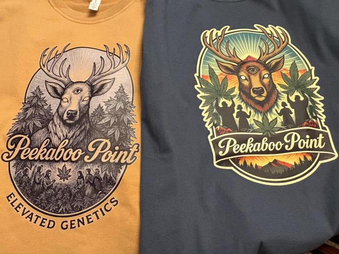 The Divine Roots Project. Week 10