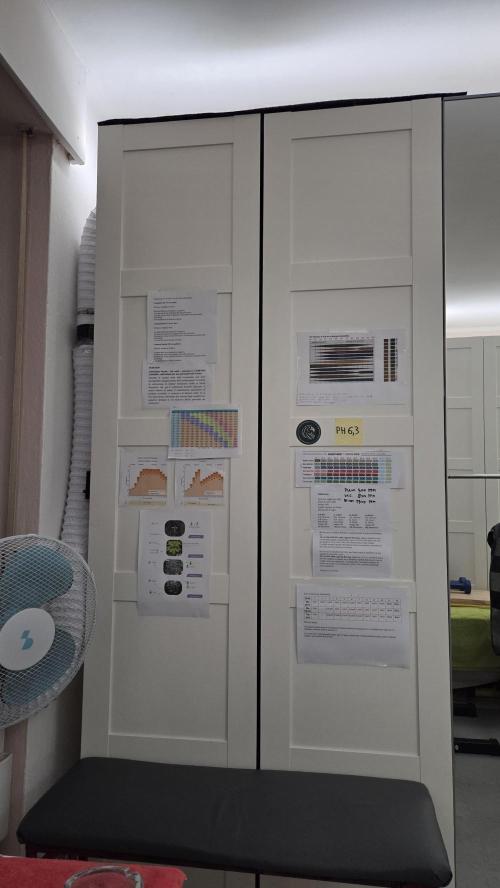 Amnesia 🧠. Week 4