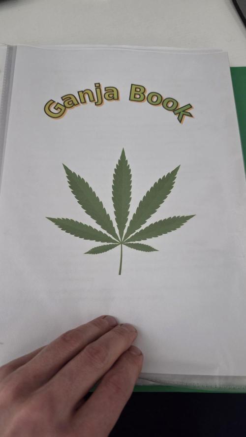 Amnesia 🧠. Week 4