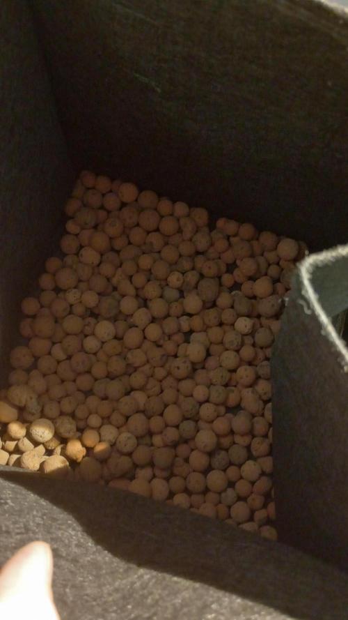 Titan F1 💪. Week 0