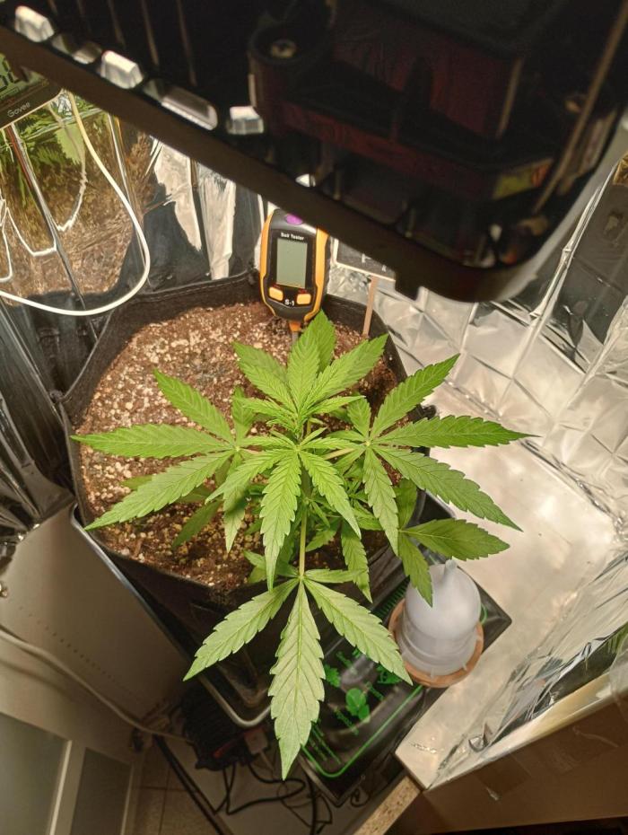 Titan F1 💪. Week 3