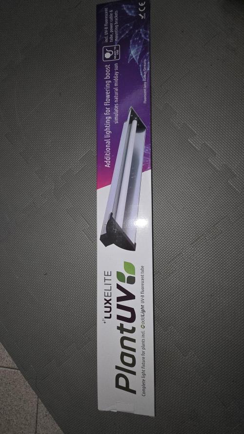 Biscotti 🍪. Week 15