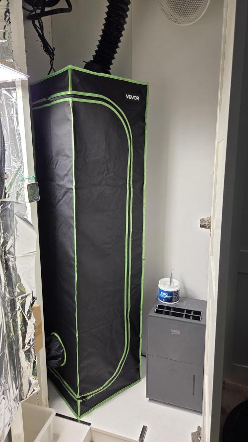 Titan F1 💪. Week 7