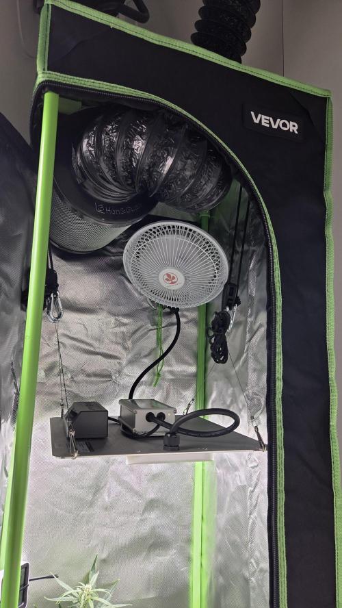 Titan F1 💪. Week 7