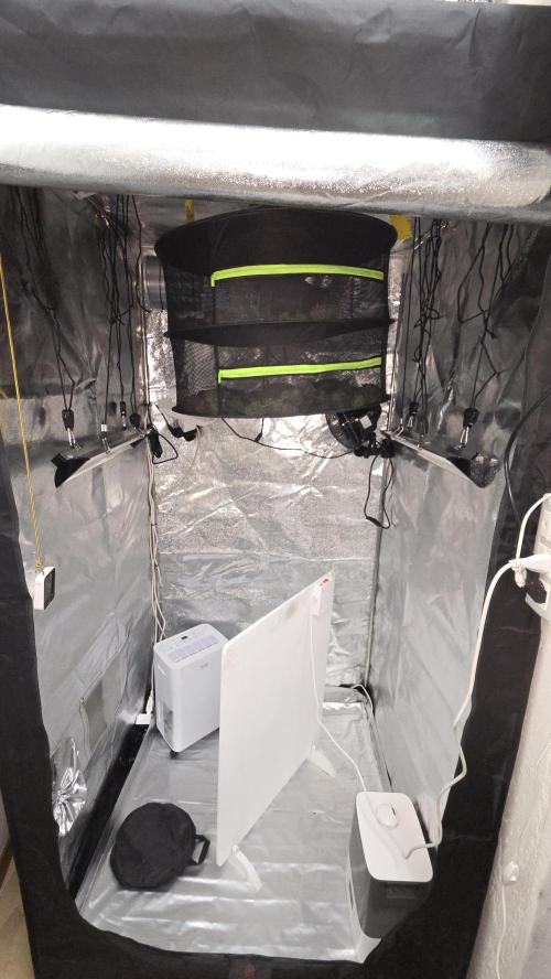 Biscotti 🍪. Week 19