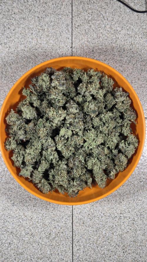 Biscotti 🍪. Week 19