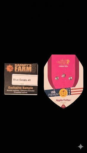 Blue Gelato 41 🍦 - Apple Fritter 🍎. Week 0
