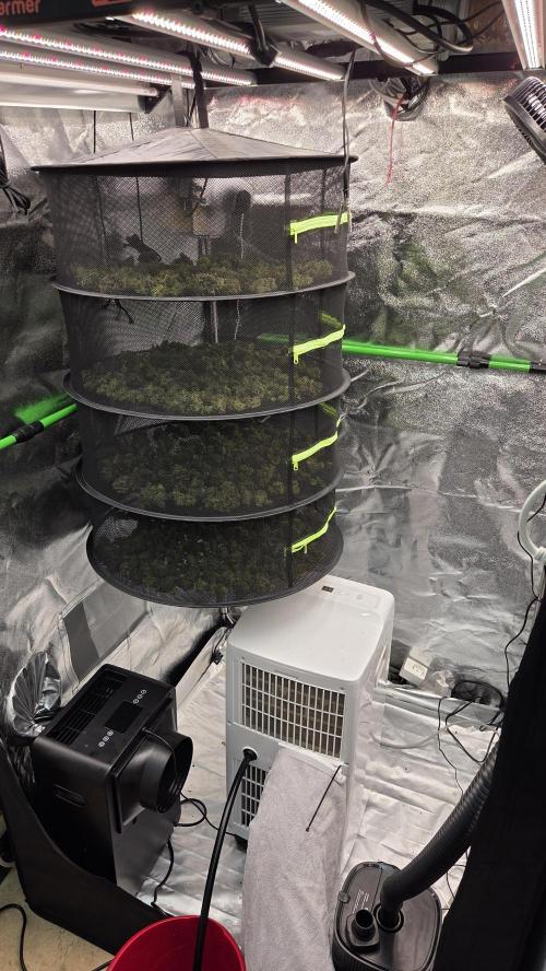 DWC - Frostbanger ❄️💥. Week 13