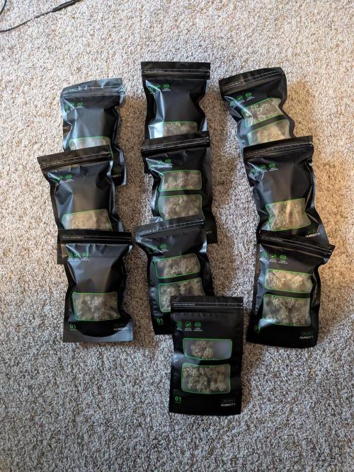 Mephisto Autoflowers. Week 10