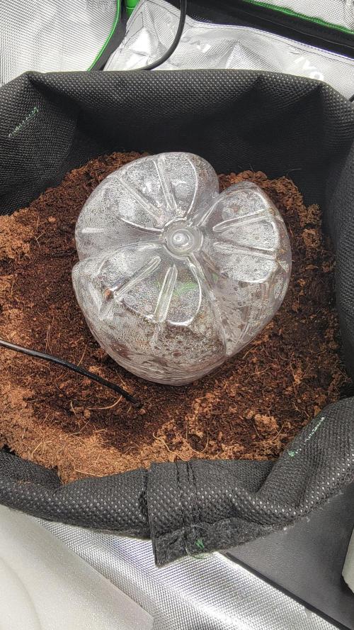 Genesis. Week 0 - Humidity dome