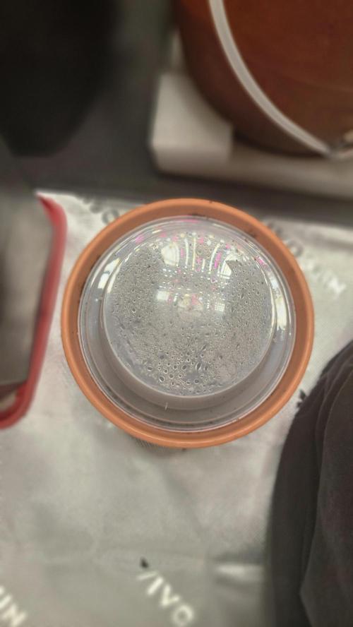 MWF1/SDBS. Week 0 - UK Stardawg Photo - Unpopped 2L pot