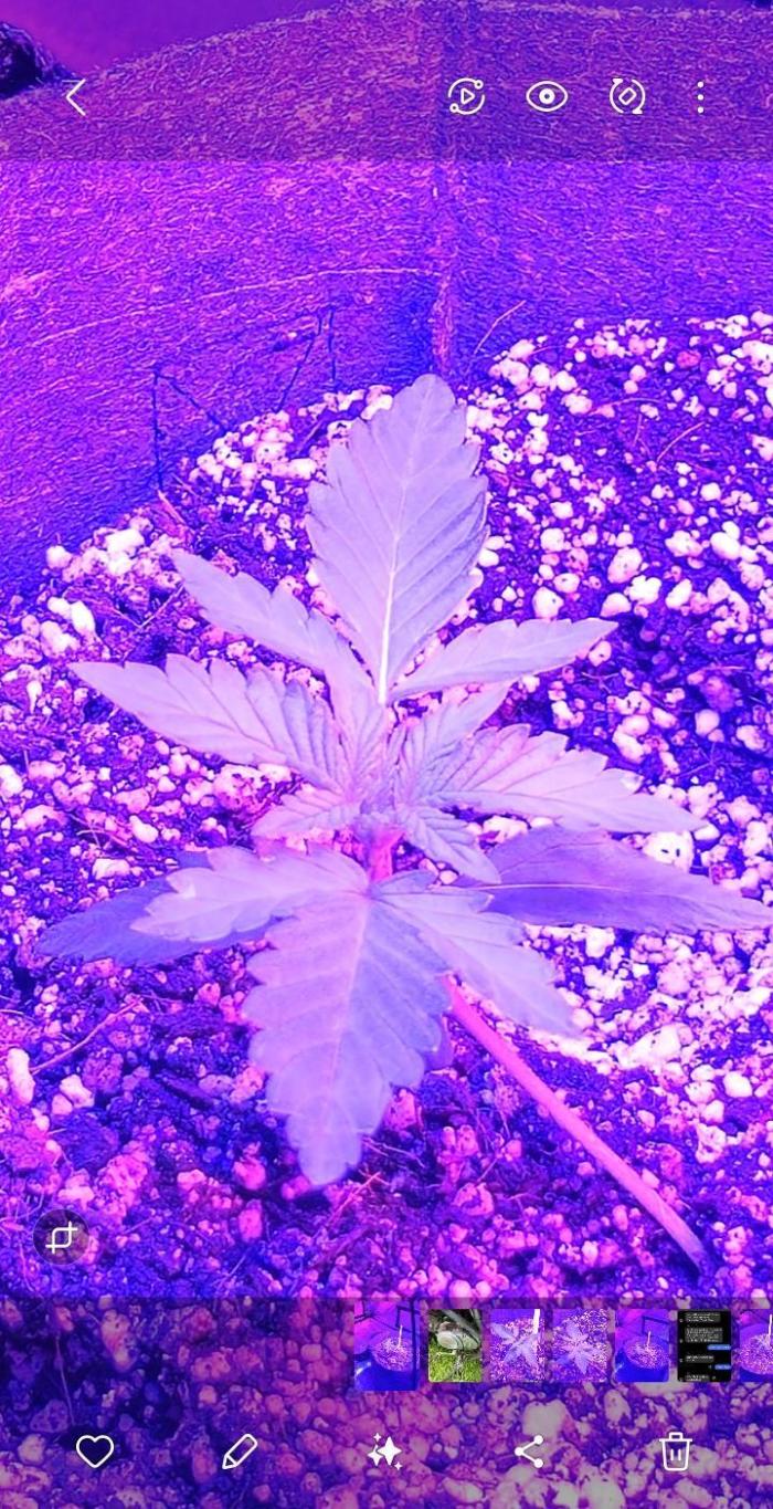 Third Try's a Charm. Week 1