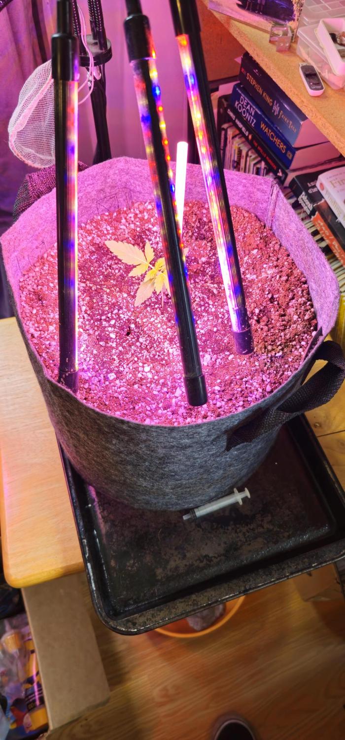 Third Try's a Charm. Week 1