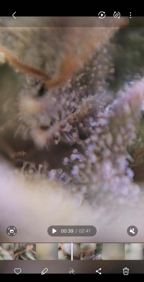 Third Try's a Charm. Week 12