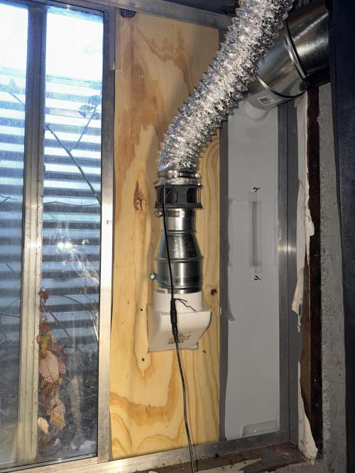 My First Seed to Harvest | Budget build. Week 11