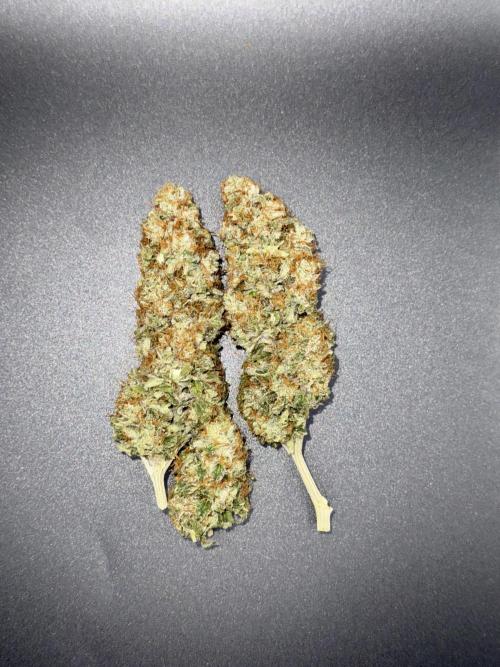 My First Seed to Harvest | Budget build. Week 15