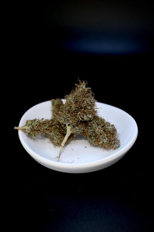 Island seeds in the Mainland. Week 20