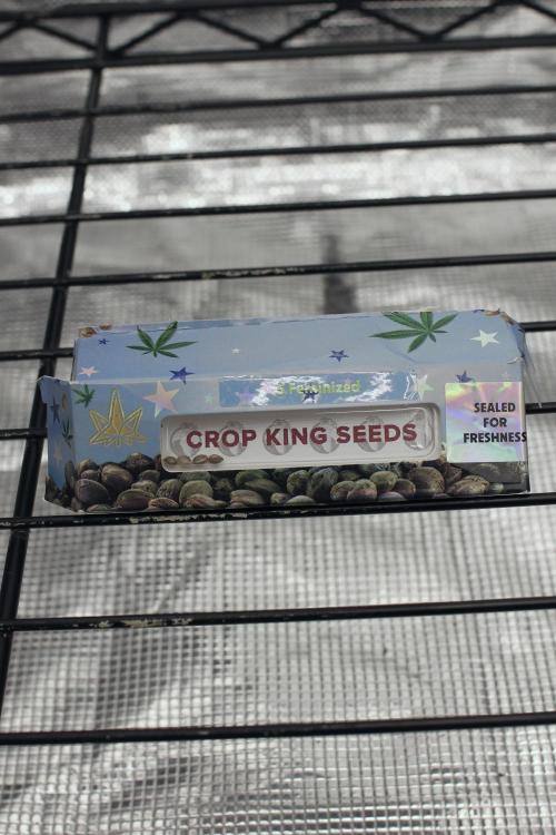 Dad’s Grow (“grow this for me son” LOL). Week 0
