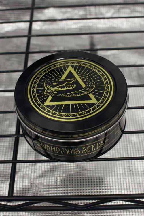 Slaytona 5000 | Swamp Boys ‘26 Drop. Week 0