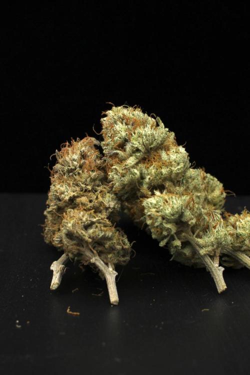 Hawaiian Bred Fire!!!. Week 18