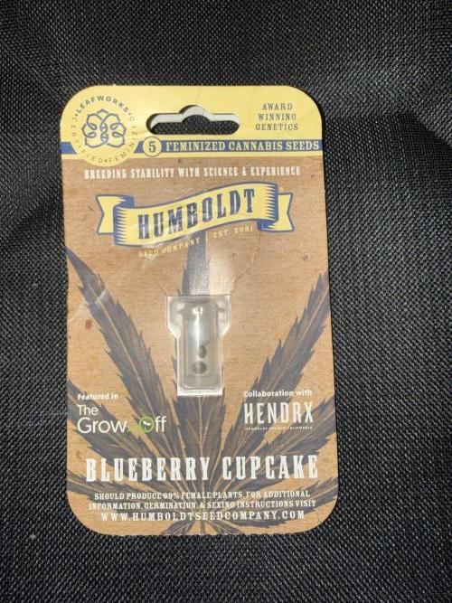 Humboldt  Seeds Run. Week 0 - 4x blueberry cupcakes 