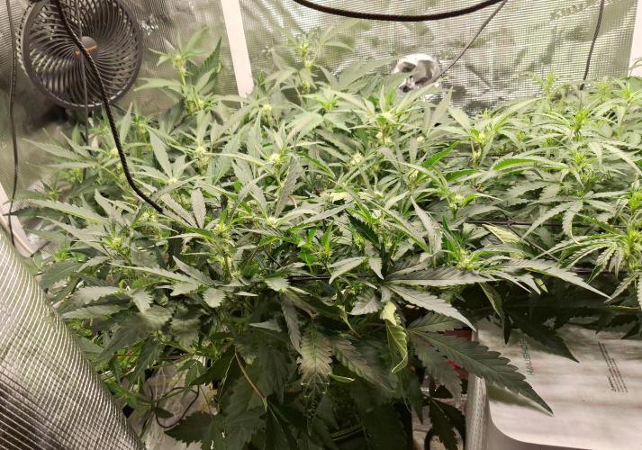 FB42 - Champion line - Mendo Frost Auto. Week 6