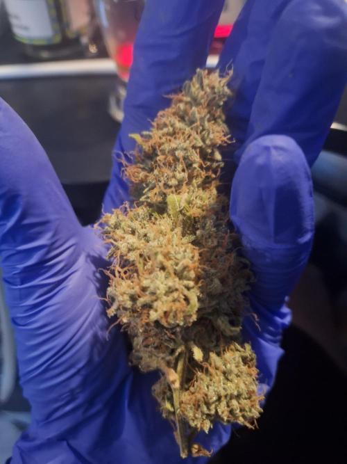 Validation #5 Sticky beast auto. Week 16 - very nice and dense 