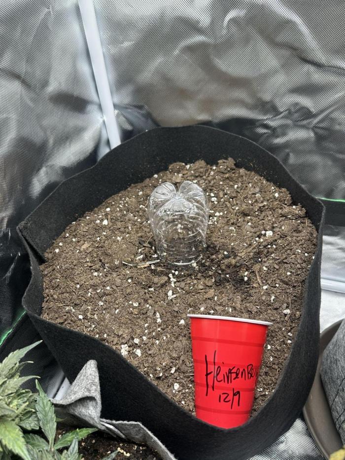 Heisenburg Auto. Week 0