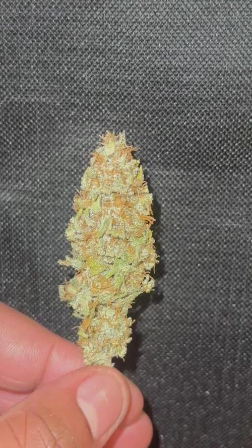 Gorilla Zkittles x Heisenberg