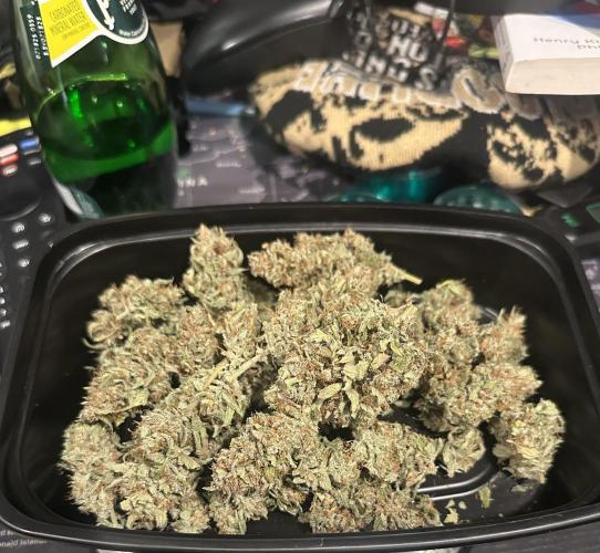 Gorilla Zkittles x Heisenberg. Week 9