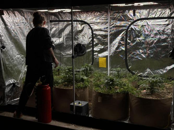 The Dessert Run. Week 5