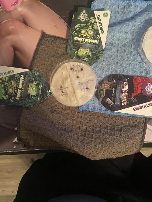 OG of the Father. Week 0