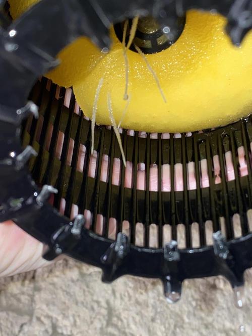 OG of the Father. Week 1