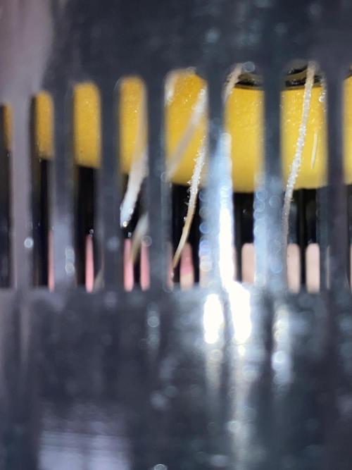 OG of the Father. Week 1