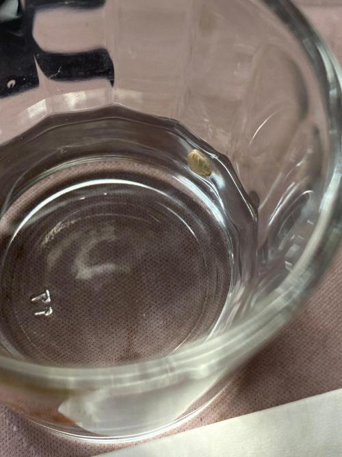 Divine Rapier auto v1. Week 0