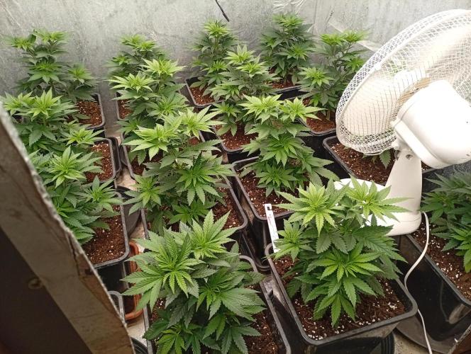 Permanent Marker v bunkru. Week 5