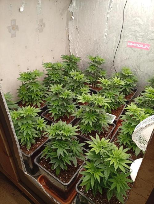 Permanent Marker v bunkru. Week 5