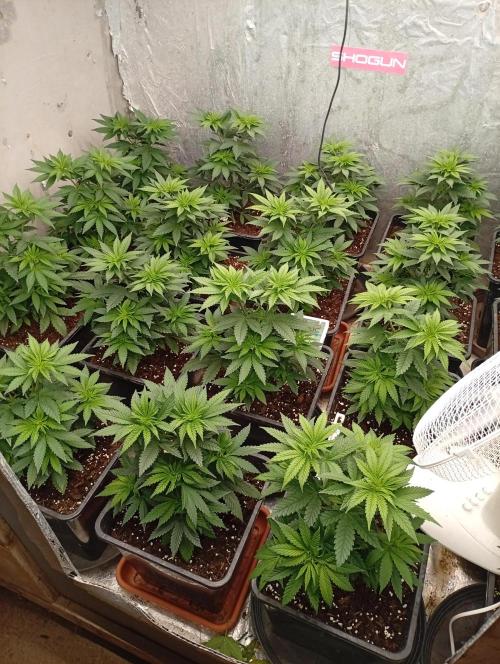 Permanent Marker v bunkru. Week 5