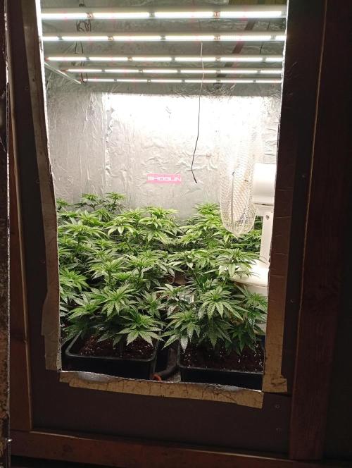 Permanent Marker v bunkru. Week 5 - ...