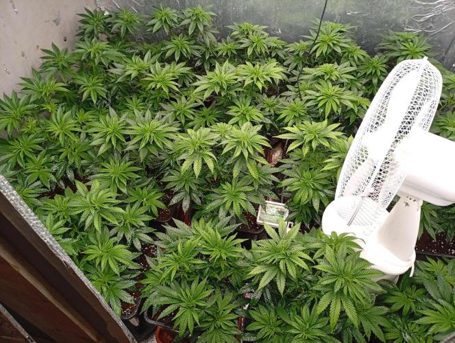 Permanent Marker v bunkru. Week 5 - ...